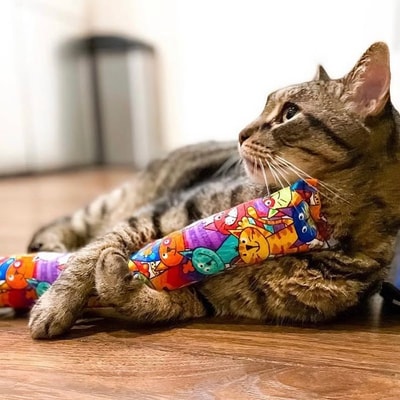 Thinking About Buying From Kitty Kick Stix? This 2026 Review Explains Why Its 4/5 Rating Highlights Handmade Quality, Potent Catnip, and Key Trade-Offs