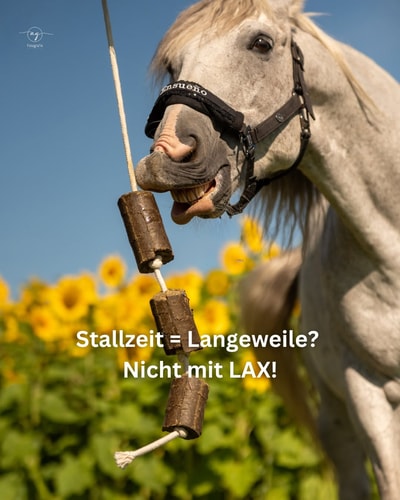 Wie &uuml;berzeugend sind die nat&uuml;rlichen Inhaltsstoffe und gesundheitlichen Vorteile von LAX Tierfutter im 2026 Testbericht mit einer Bewertung von 3/5 f&uuml;r tierfreundliche Ern&auml;hrung