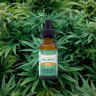Examining Customer Feedback and Product Transparency: What 3.5/5 Reveals about Pure Hemp Botanicals in 2026 for Stress, Sleep, and Pain Wellness