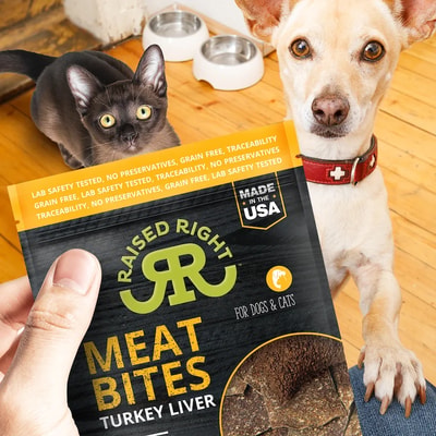Why Raised Right Dog Food Stands Out In 2026 With Its 4/5 Rating: Vet-Formulated, Human-Grade Quality And Transparent Lab Testing Behind The Premium Choice