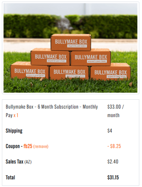proof of working Bullymake promo codes FB25