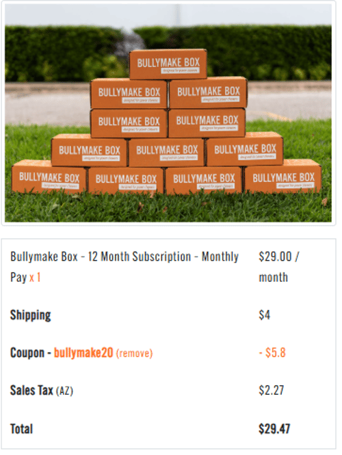 proof of working Bullymake promo codes BULLYMAKE20