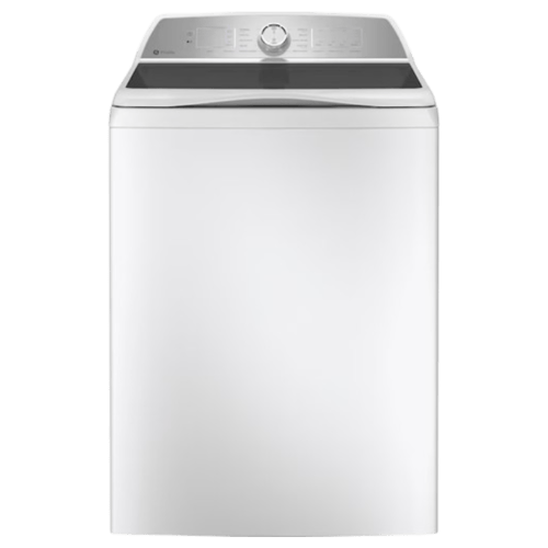 GE PTW600BSRWS