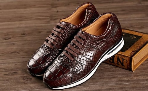 Thinking About Alligator Warehouse? This 2026 Review Explains Why Its 4/5 Rating Reflects Attractive Prices Amid Service And Fulfillment Challenges