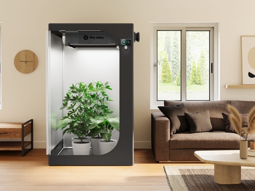 Stop Overpaying at Hey abby This July 2026: A Small Checkout Decision Can Unlock $100 in Savings on Indoor Gardening Systems