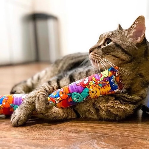 Thinking About Buying From Kitty Kick Stix? This 2026 Review Explains Why Its 4/5 Rating Highlights Handmade Quality, Potent Catnip, and Key Trade-Offs