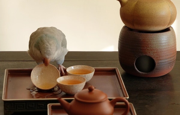 MoriMa Tea Banner