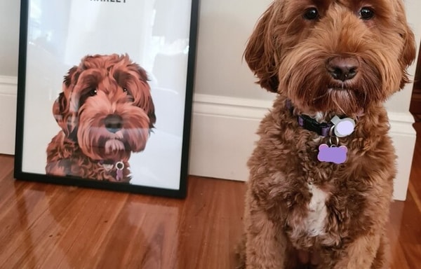 Guilty Paws Banner