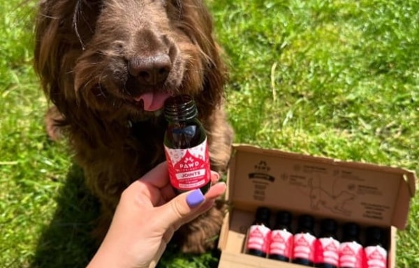 PAWD DRINKS Banner