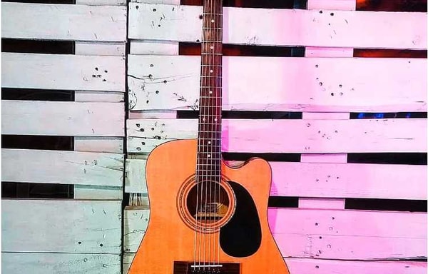 Zager Guitars Review