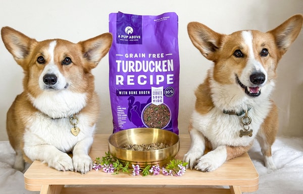 A Pup Above Banner