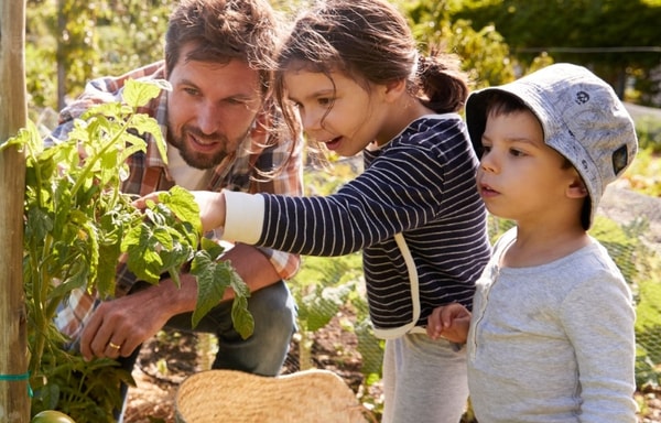 AgroThrive Banner