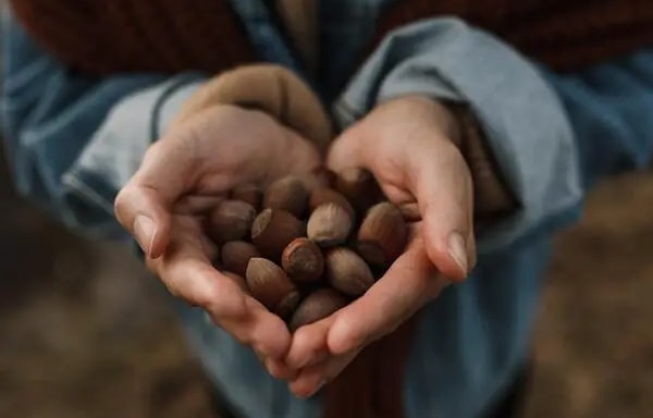 Anuts.com Banner