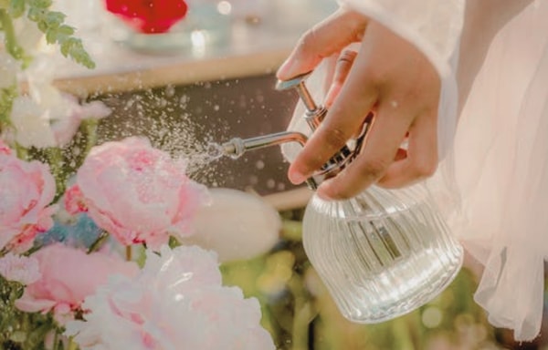 Aroma Passions Banner