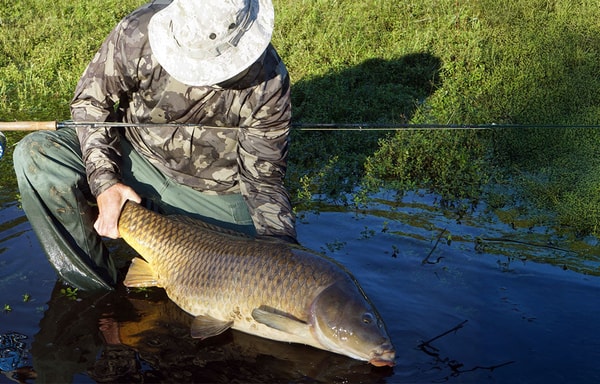 Atlas Fly Fishing Banner