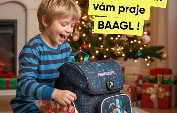 Baagl Banner