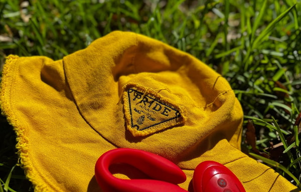 Be Daring Banner