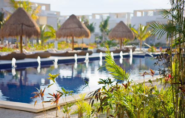 Beloved Hotels Banner