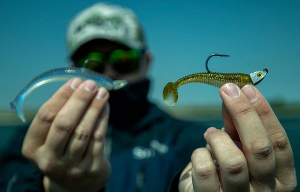 Big Bite Baits Banner