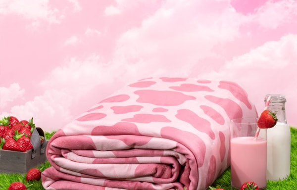 Big Blanket Co Banner