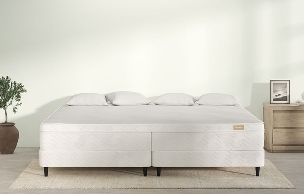 Big Mattress Co. Banner