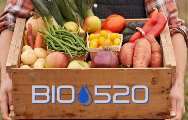 Bio520 Banner