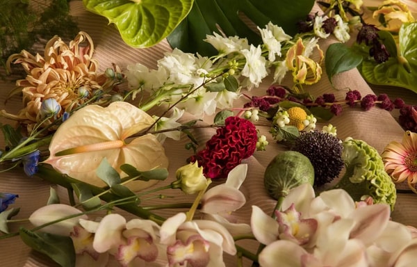 bloomon Banner