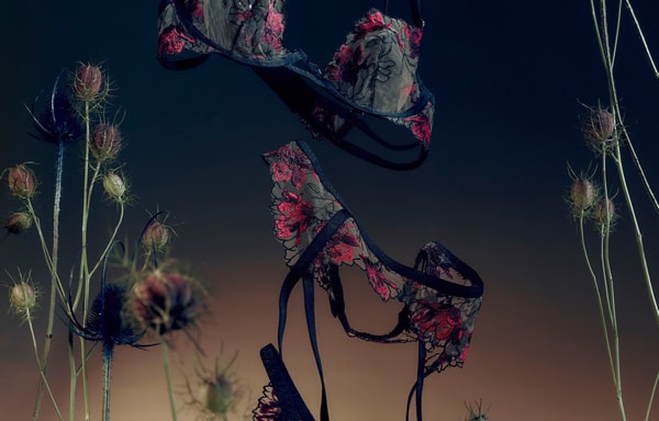 Bluebella Banner