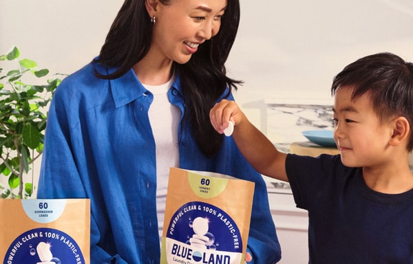 Blueland Banner