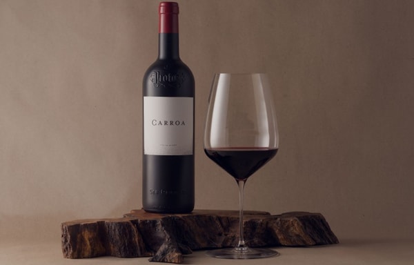 Bodegas Protos Banner