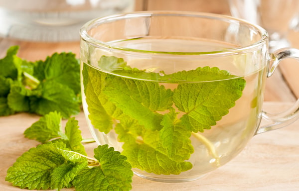 Body and Mind Botanicals Banner