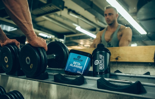BODYLAB Banner
