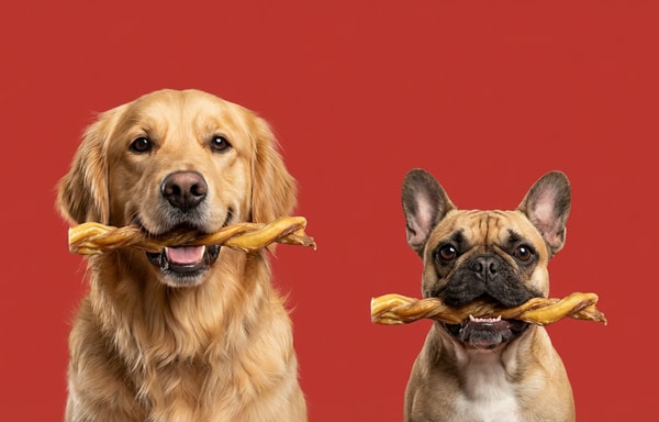 Bonez Treats Banner