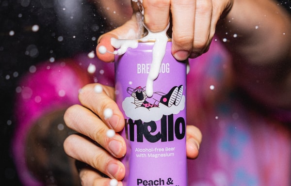 BrewDog Banner