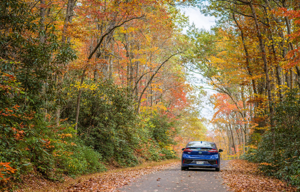 Budget Car Rental Banner