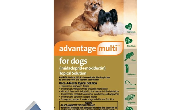 BudgetPetCare Banner