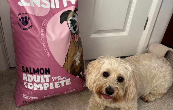 Burgess Pet Care Banner