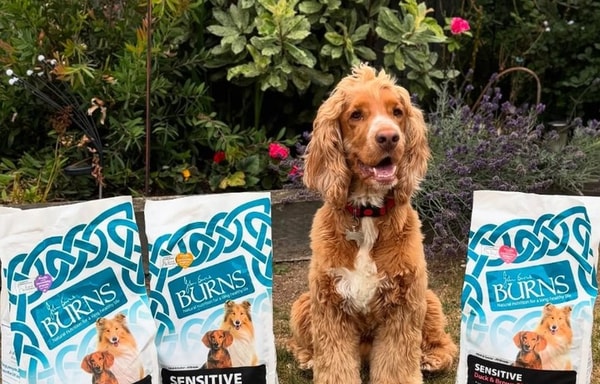 Burns Pet Nutrition Banner