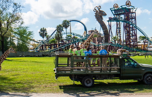 Busch Gardens Banner