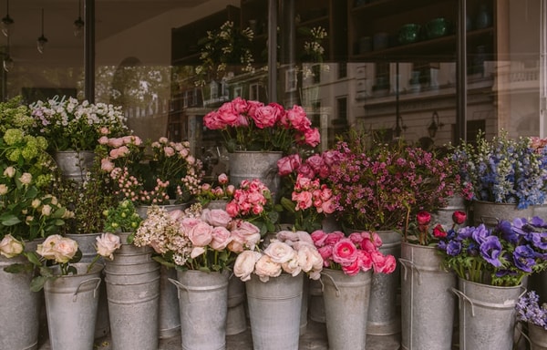 By Bloom Banner