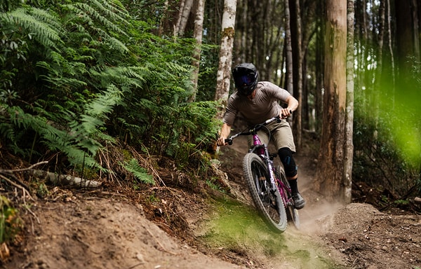 Cambria Bike Banner