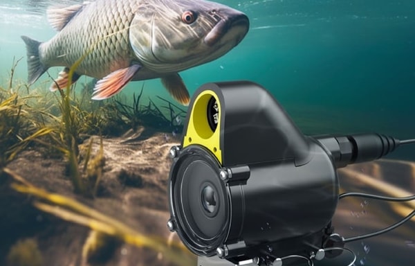 CanFish Banner