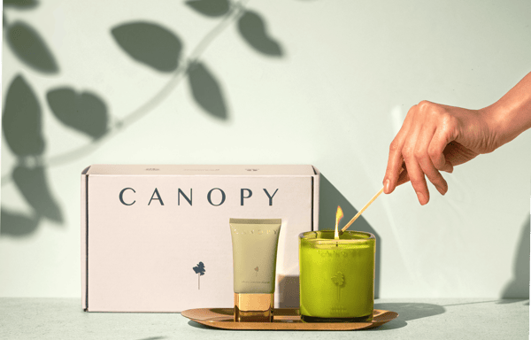 Canopy Beauty Banner
