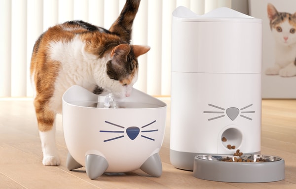 Catit Banner