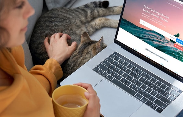 checkdomain Banner
