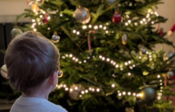 Christmas Trees Direct Banner