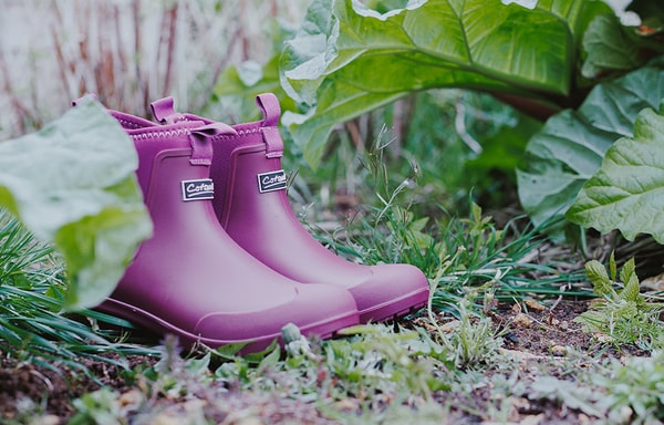 Cotswold Shoes Banner