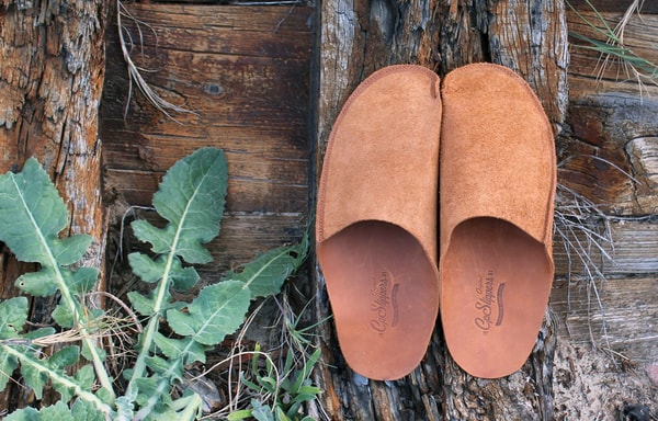 CP Slippers Banner
