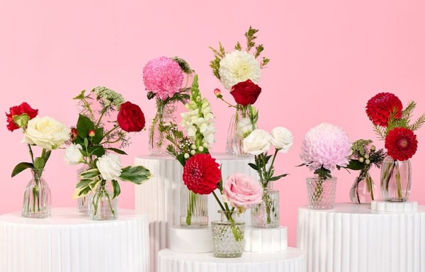Daily Blooms Banner