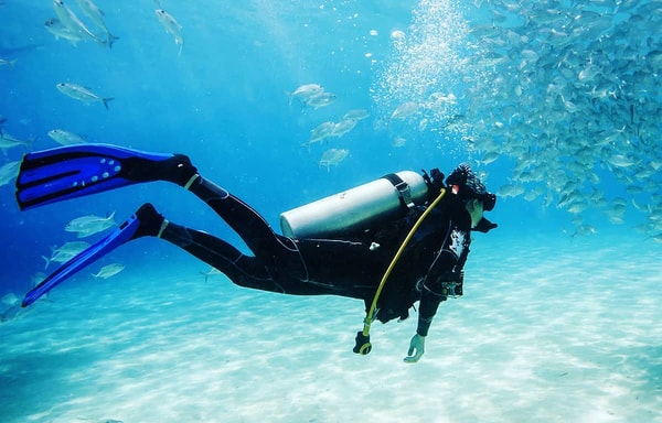 DIP 'N DIVE Banner